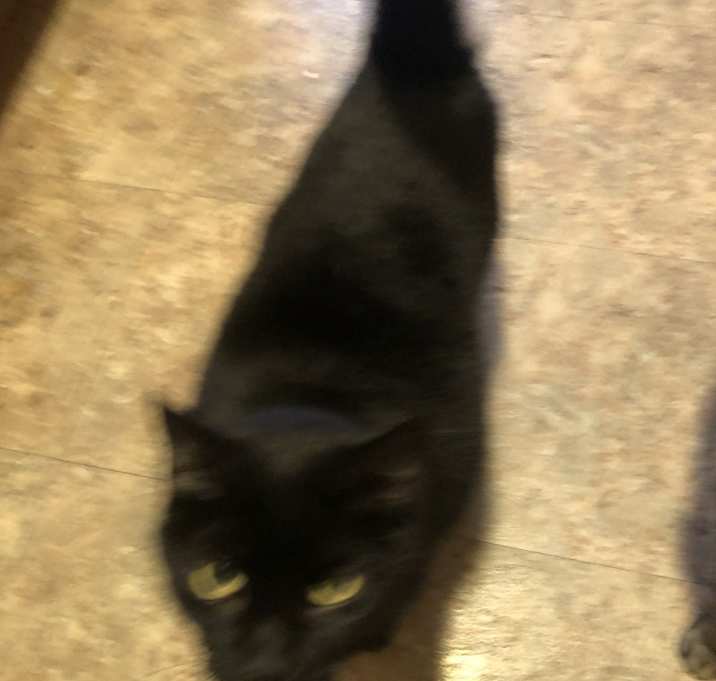 Photo of Squirt