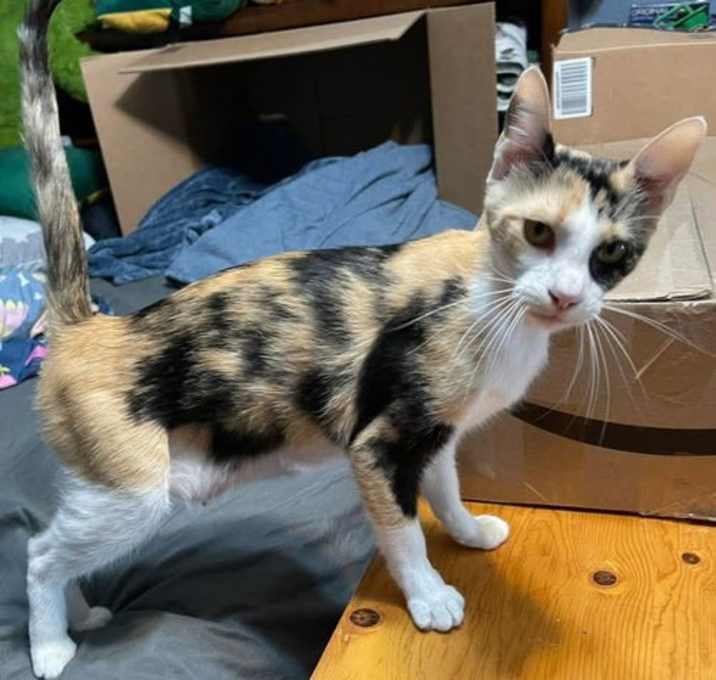 Photo of Lucy