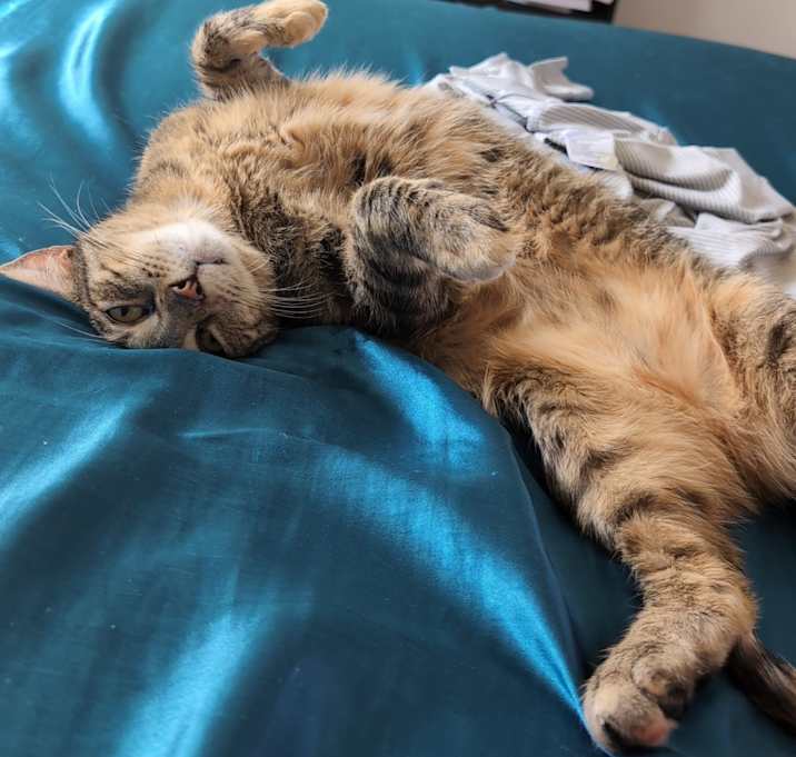 Photo of Winnie