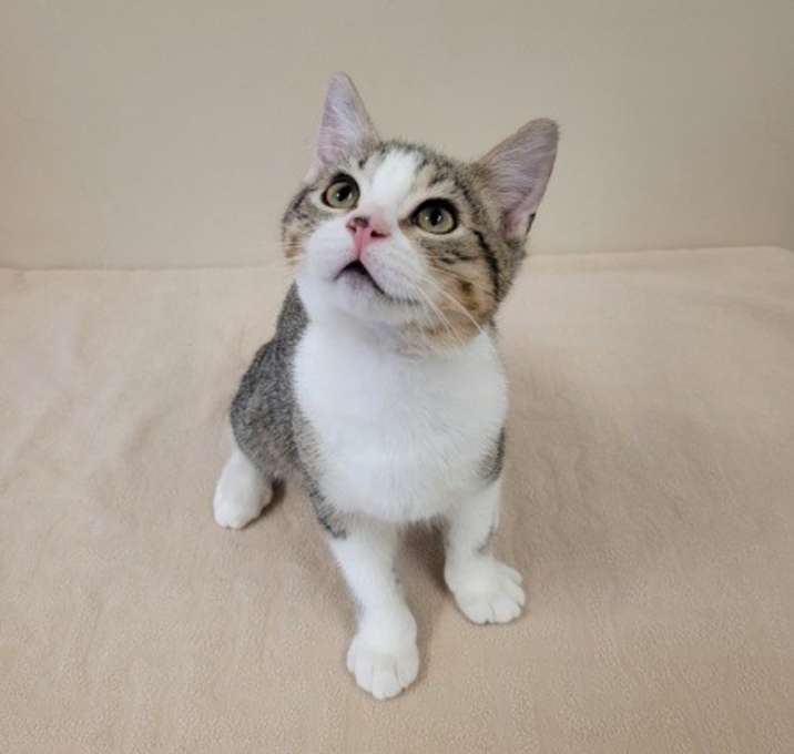 Photo of Joker
