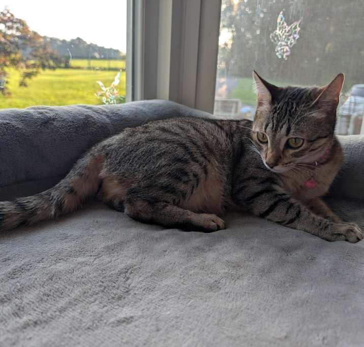 Photo of Poppy