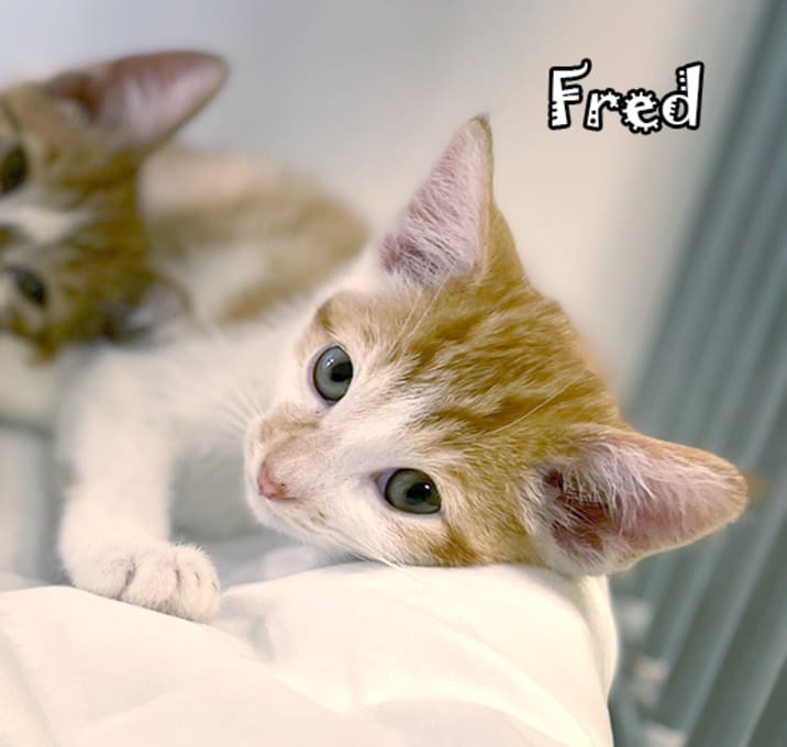 Photo of Fred