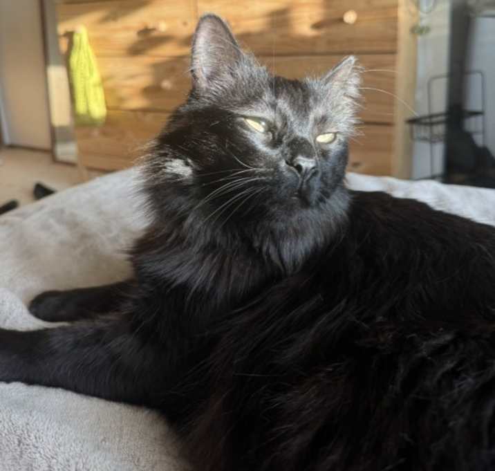 Photo of Jude