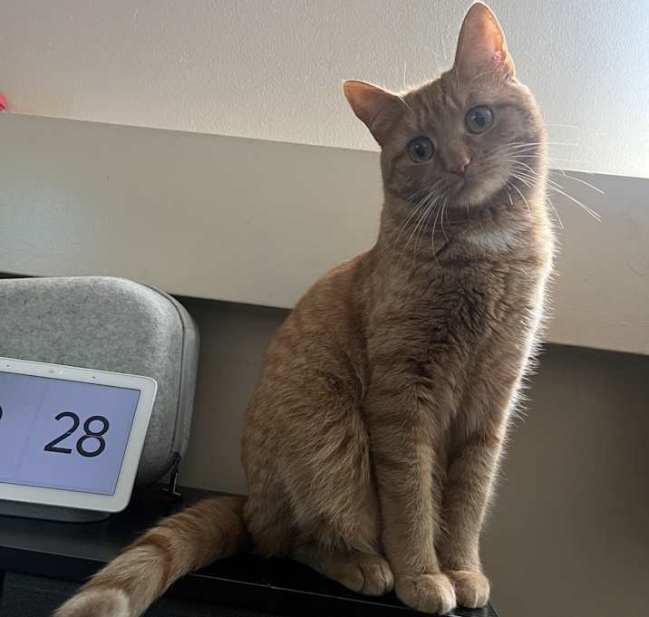 Photo of Ellie
