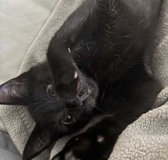 Photo of Sabrina