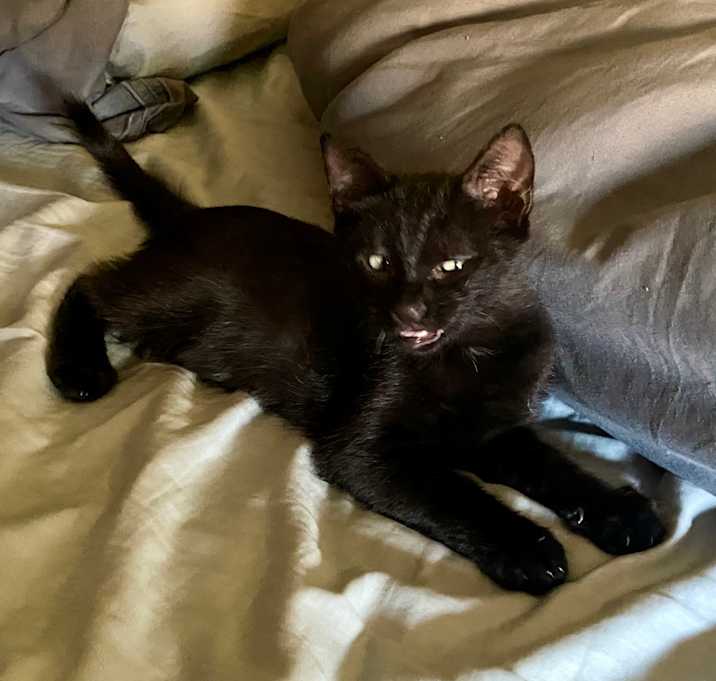Photo of Simon