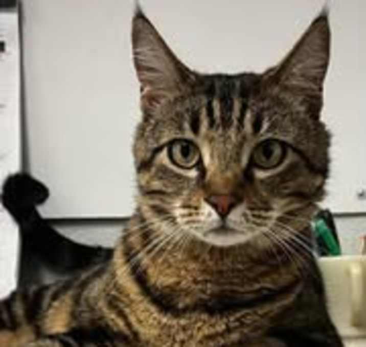 Photo of Kameryn