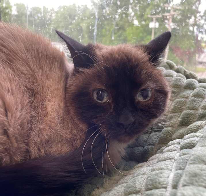 Photo of Tia