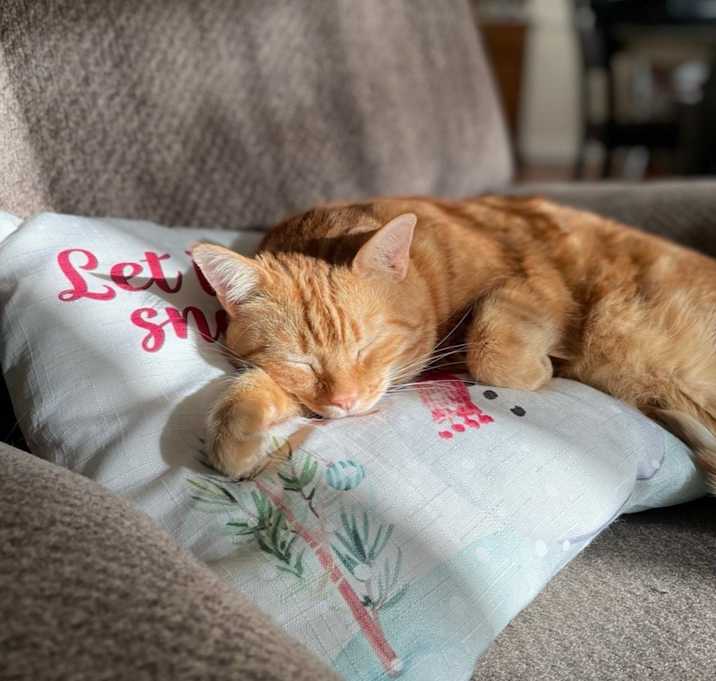 Photo of Harry
