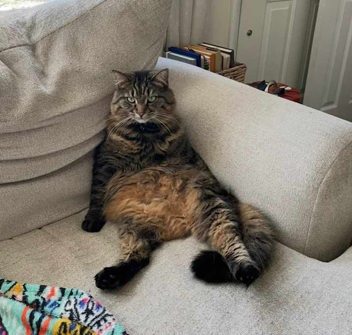 Photo of Gus