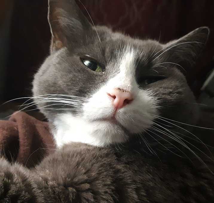 Photo of wilma