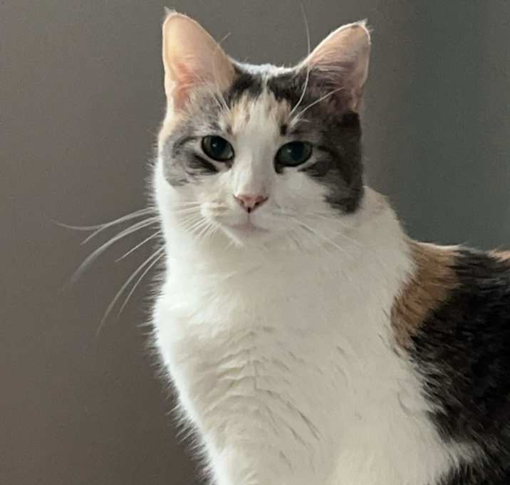 Photo of Adaline