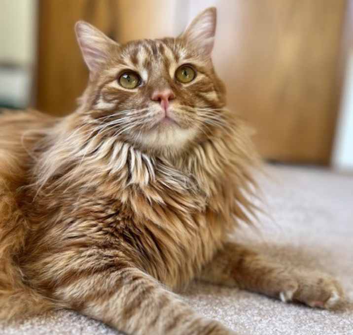 Photo of Murray