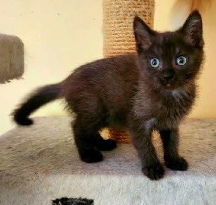 Pixel