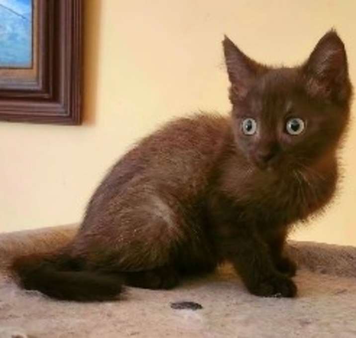 Pixel