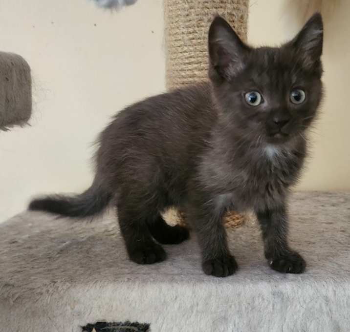 Pixel