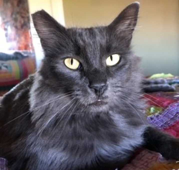 Photo of Finn