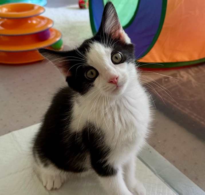 Photo of Hugo