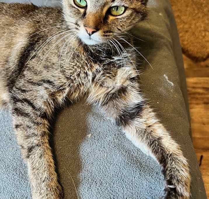Photo of Tia