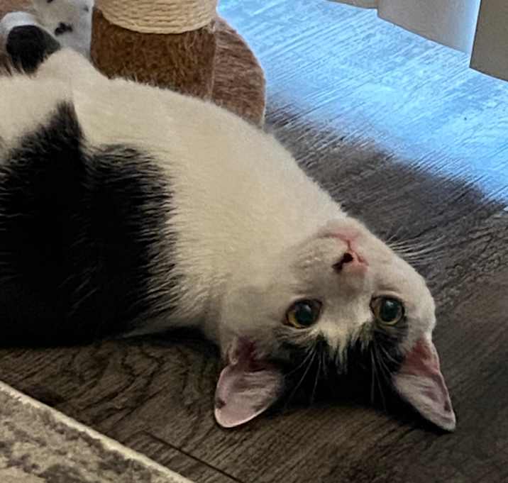 Photo of Harold