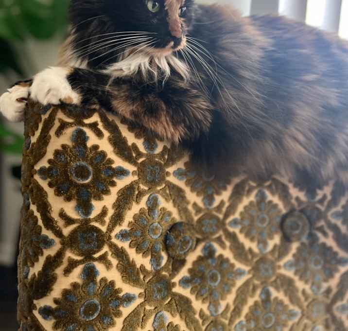 Photo of Friday