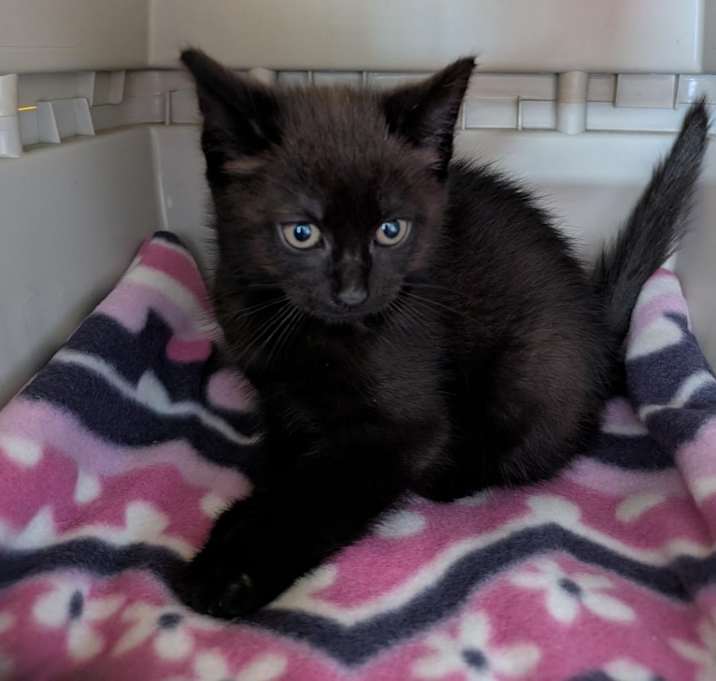 Photo of Byron