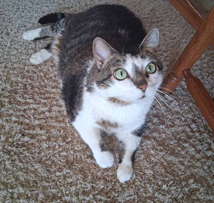 Photo of Inara