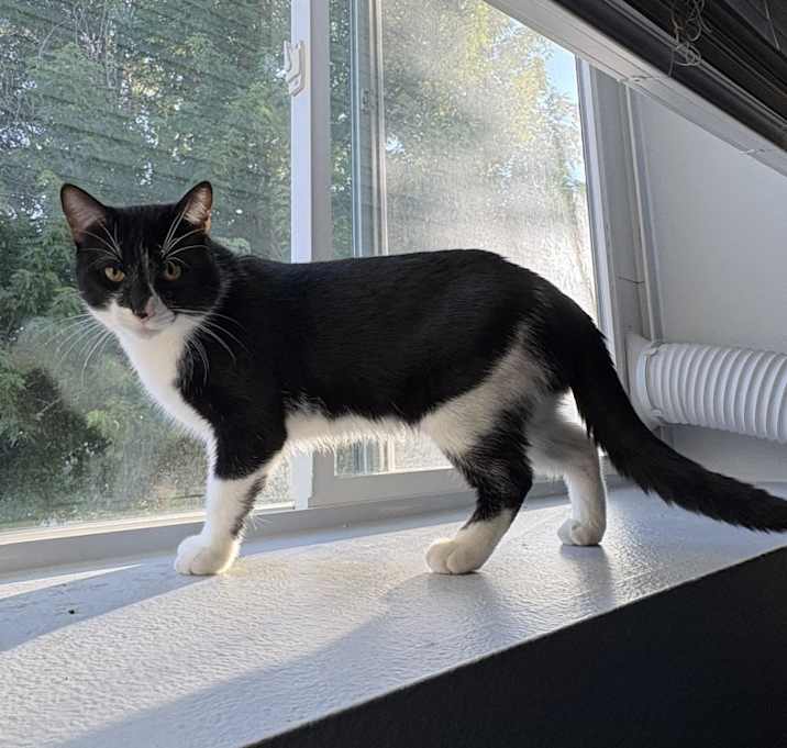 Photo of Boots