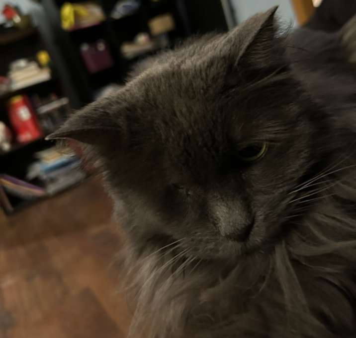 Photo of Ruby