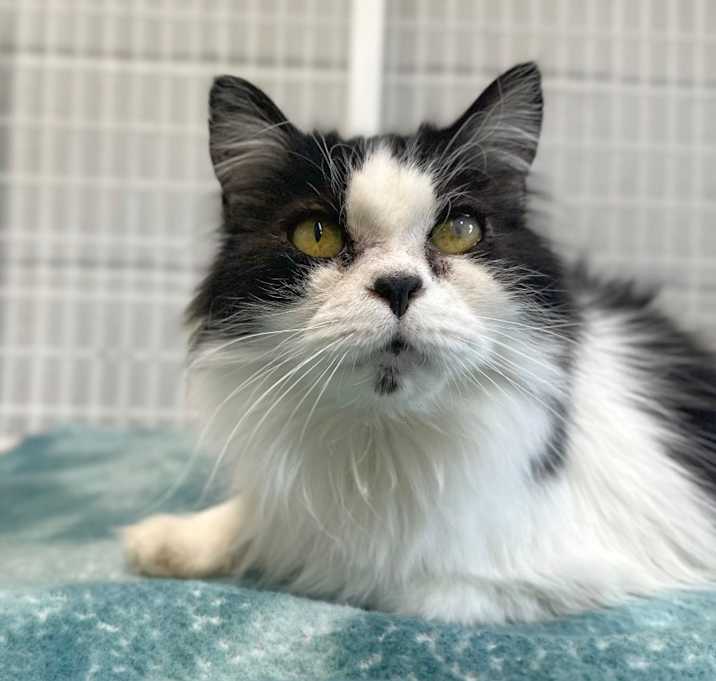 Photo of Sammie
