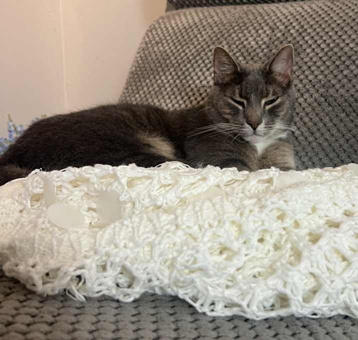 Photo of Charlie