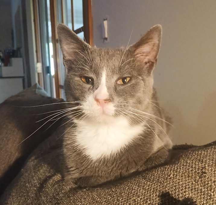 Photo of Sneezy