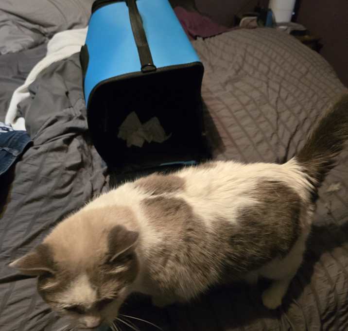 Photo of Dipstick