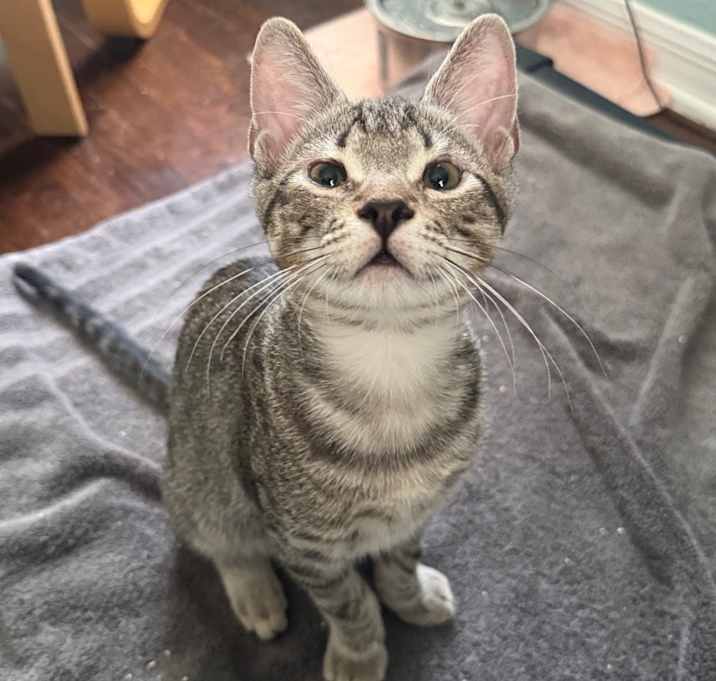 Photo of Gus