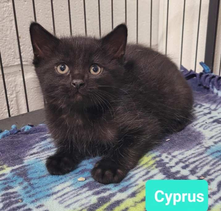 Photo of Cyprus