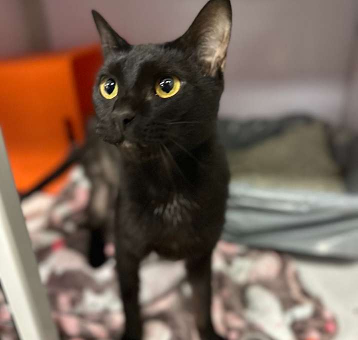 Photo of Maggie