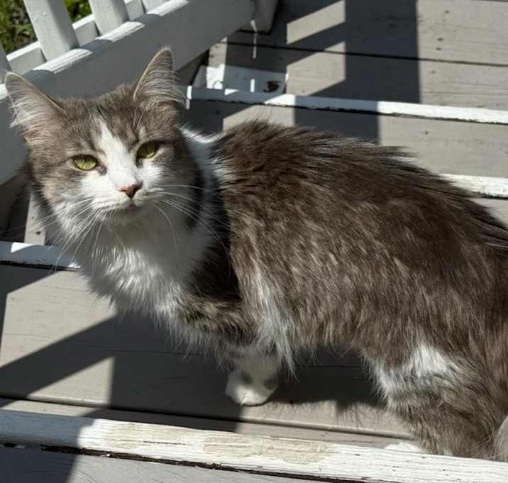 Photo of Lizzie
