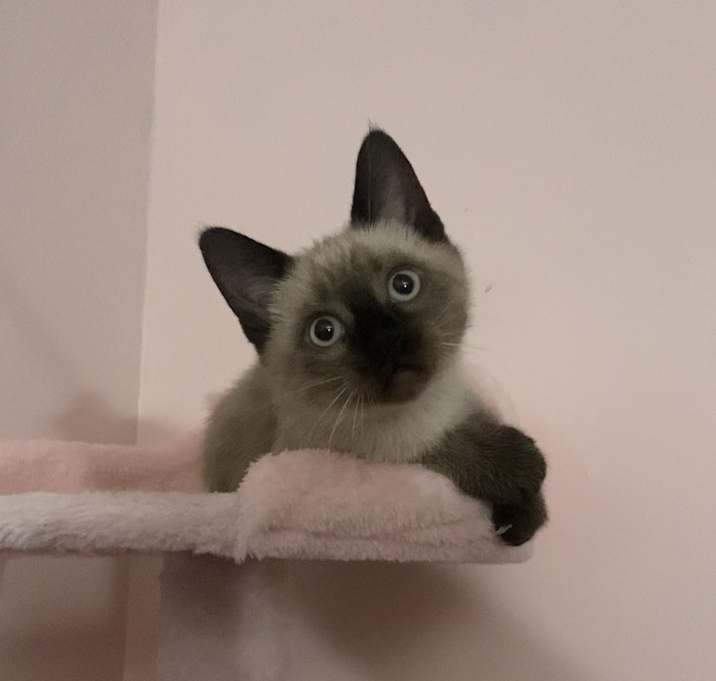 Photo of Bug