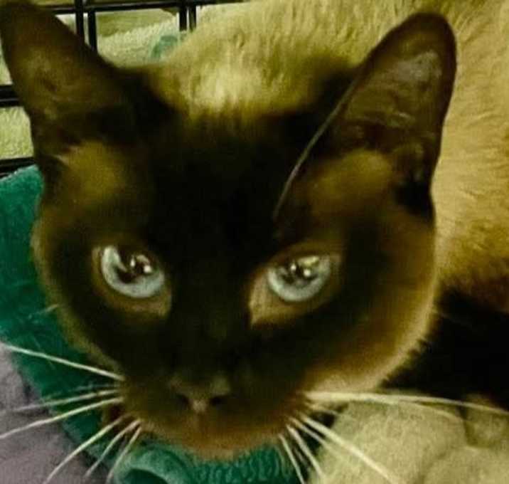 Photo of Mimi