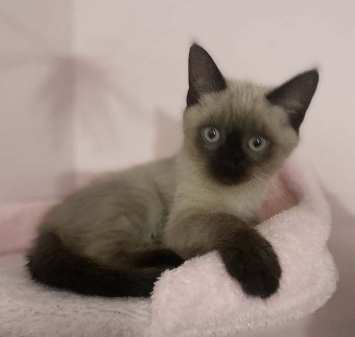 Photo of Precious