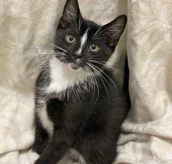 Photo of Charlie