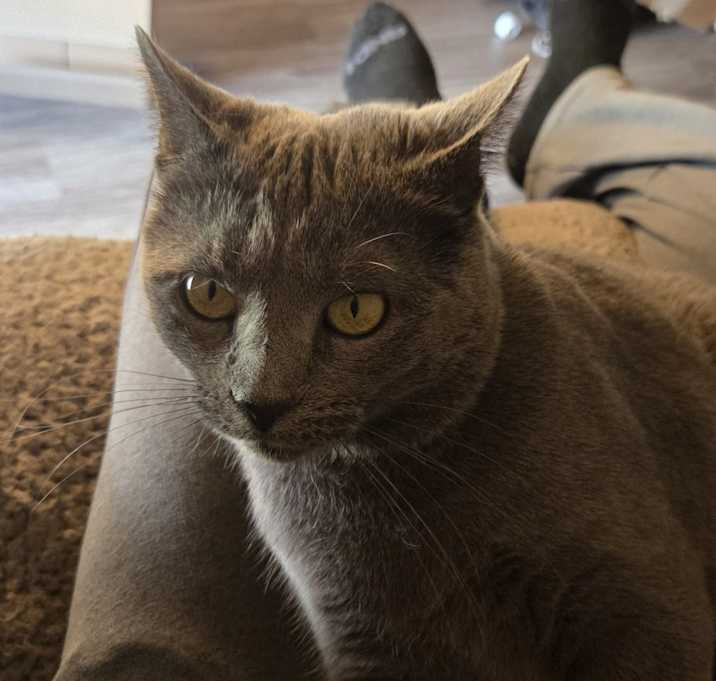 Photo of Felicia
