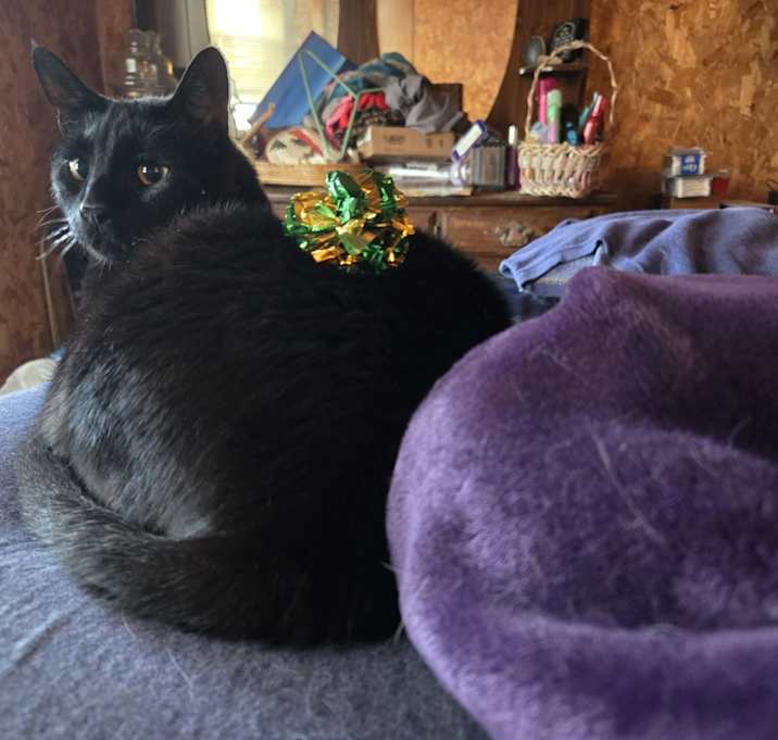 Photo of Ozzy Fuzzbourne