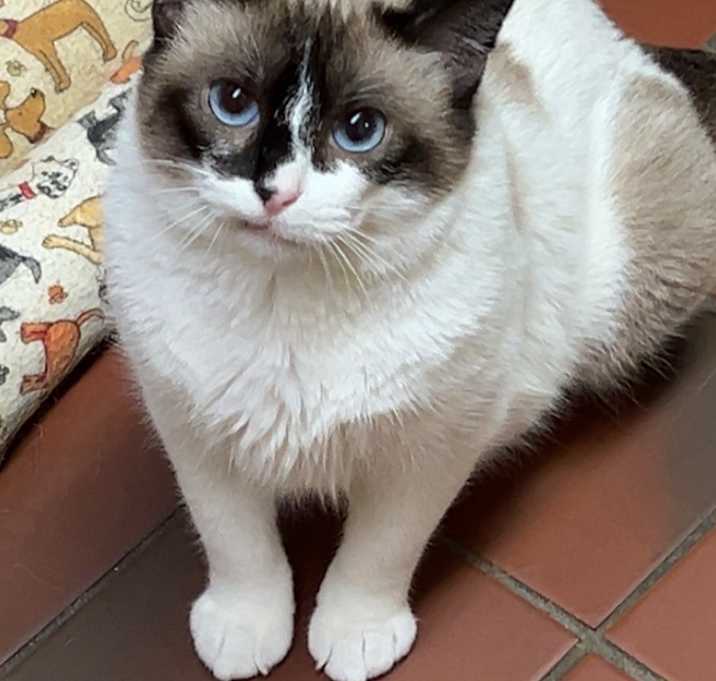 Photo of Wanda Sue