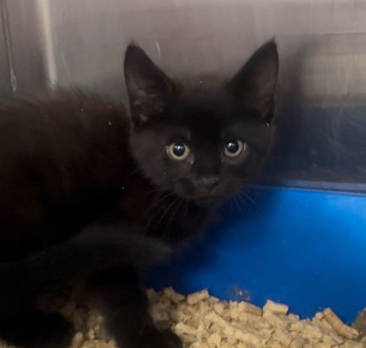 Photo of Void