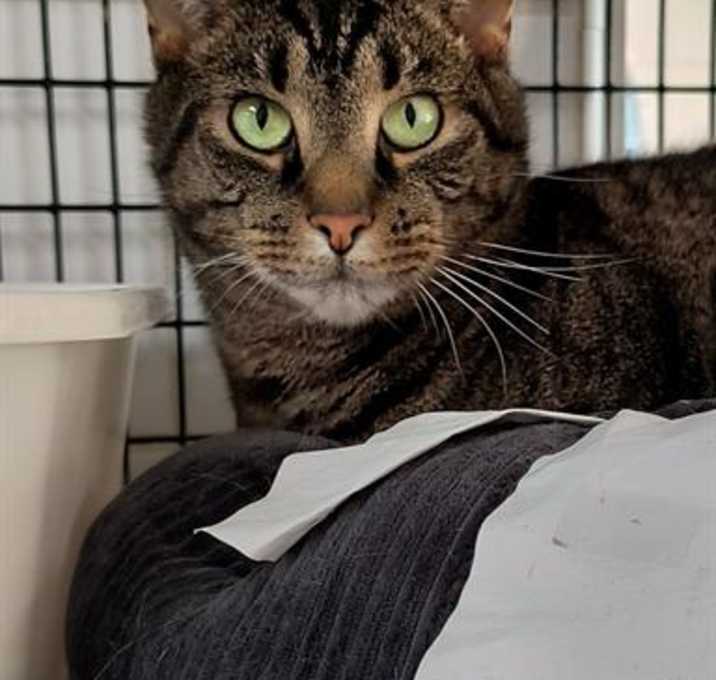 Photo of HUMPHREY