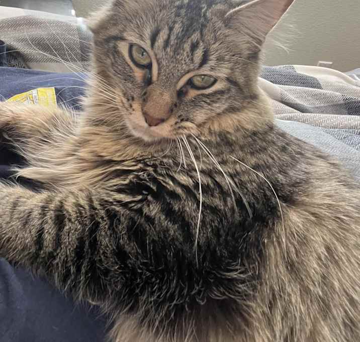 Photo of Oakley