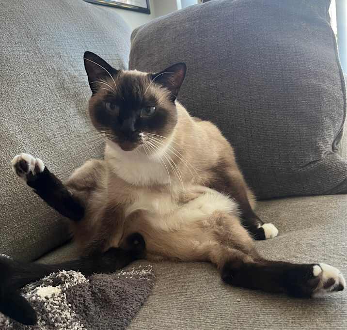 Photo of Leo