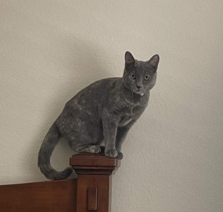 Photo of Sophie