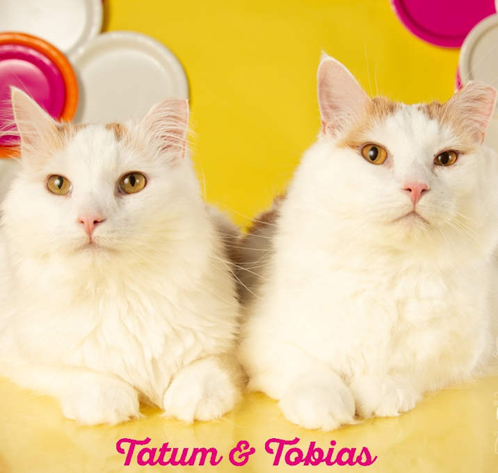 Photo of Tobias